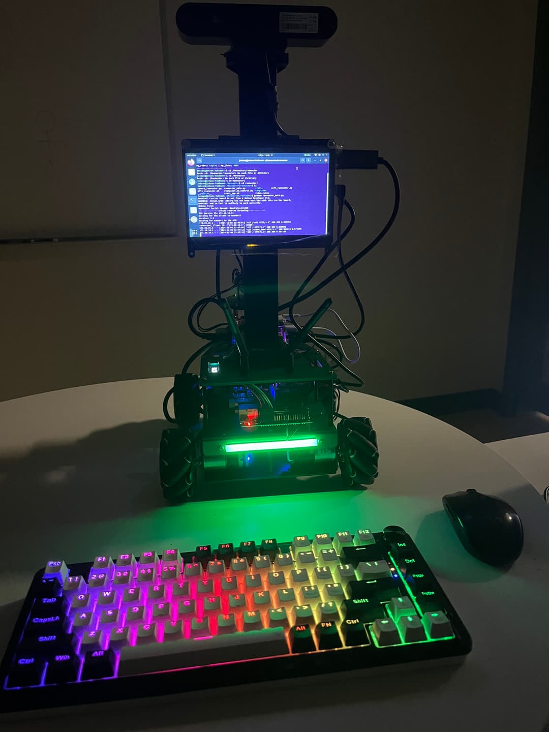 Real-Time Plant Disease Detection Using YOLOv8 on a Low-Resource Device